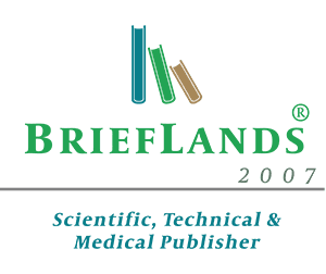 BriefLands-logo.png