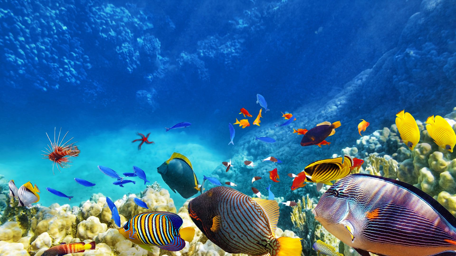 Maldives